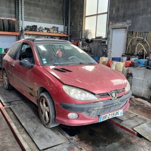 PEUGEOT 206 I 2.0HDI 90CV PH2 DE 2001