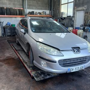 PEUGEOT 407 I BREAK 2.0HDI 136CV PH1 DE 2007