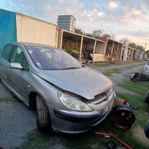 PEUGEOT 307 I 2.0i 136CV PH1 DE 2002