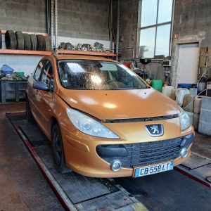 PEUGEOT 307 I 1.6i 109CV PH2 DE 2005
